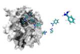 Un gran paso en la simulación molecular, clave para el diseño de nuevos fármacos