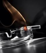 Cigarette smoke contributes to muscle dysfunction