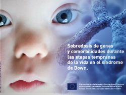 <p>Estudi GO-DS21</p>