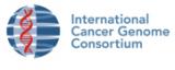 The chronic lymphocytic leukaemia project reveals the first oncogenic mutations