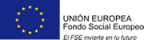Unió Europea - FSE - El FSE invierte en tu futuro