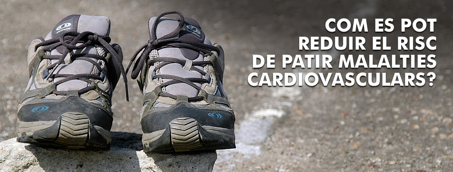 Com es pot reduir el risc de patir malaties cardiovasculars?