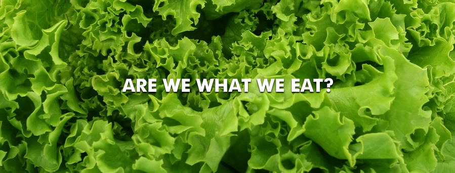 Are we what we eat?