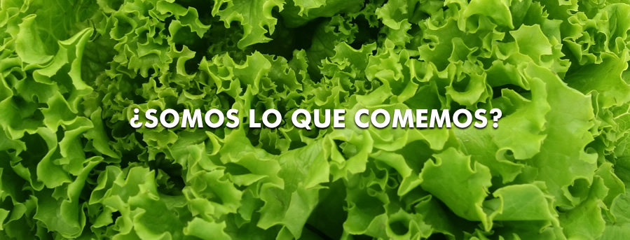 ¿Somos lo que comemos?